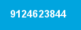 9124623844