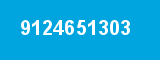 9124651303