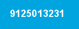 9125013231