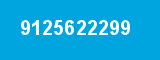 9125622299