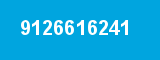 9126616241