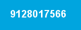 9128017566