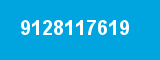 9128117619