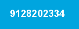9128202334