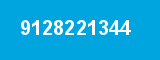 9128221344