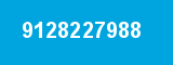 9128227988