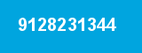 9128231344 9128231344