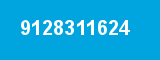 9128311624