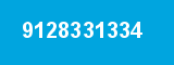 9128331334 9128331334