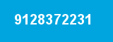 9128372231