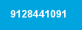 9128441091