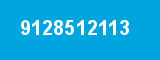 9128512113