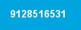 9128516531 9128516531