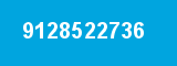 9128522736
