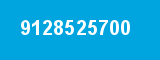 9128525700 9128525700