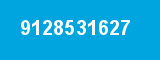9128531627