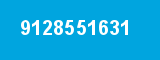 9128551631