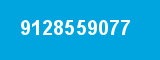 9128559077
