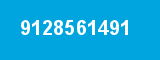 9128561491