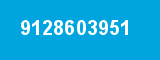 9128603951