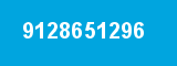 9128651296