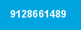 9128661489