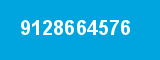 9128664576 9128664576