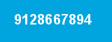 9128667894