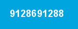 9128691288