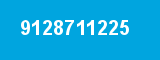 9128711225