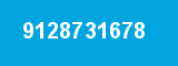 9128731678