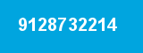 9128732214