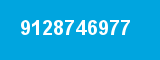 9128746977