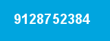 9128752384