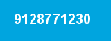 9128771230