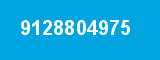 9128804975