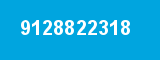 9128822318