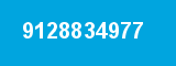 9128834977 9128834977