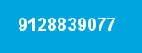 9128839077