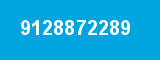 9128872289