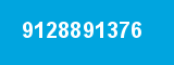 9128891376