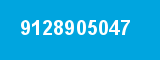 9128905047