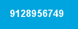 9128956749