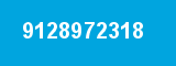 9128972318