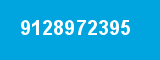 9128972395