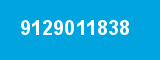9129011838