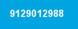 9129012988