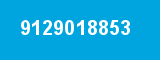 9129018853 9129018853