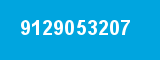 9129053207