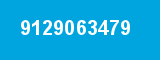 9129063479